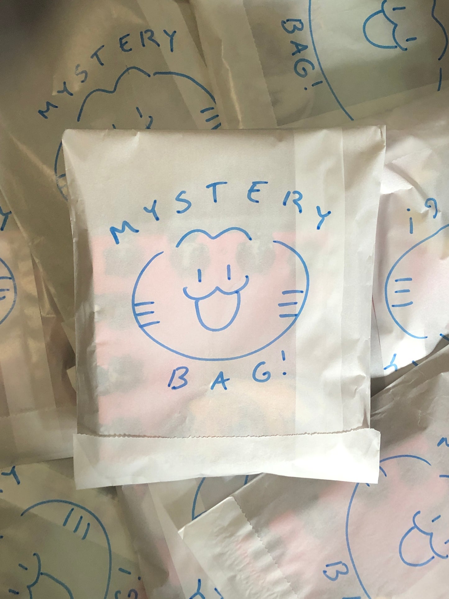Mystery Bag ($10+ Value)